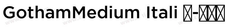 GothamMedium Itali 已字体转换 GothamMedium Itali 已字体转换